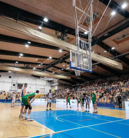 Trening kosarke za mlajse rogaska