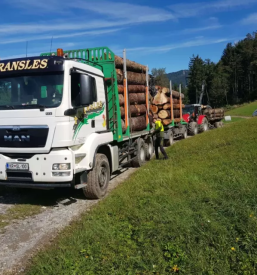 Trgovina z lesom osrednja slovenija