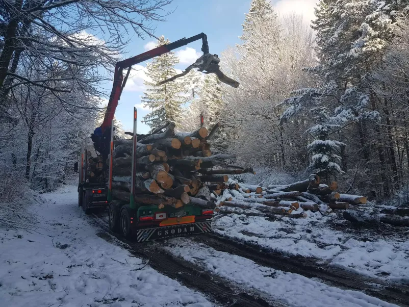 Trgovina s kvalitetnim lesom Osrednja Slovenija