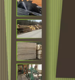 Trgovina z lesom stajerska