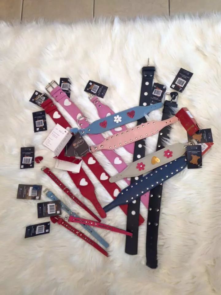 Trgovina za male živali Šiška