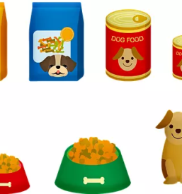 Trgovina za male živali v Ljutomeru