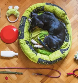 Trgovina za hišne ljubljenčke Ljutomer