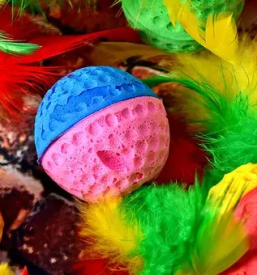 Nakup v trgovini za male živali na Podravskem