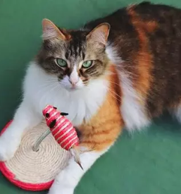 Trgovina za živali Krško