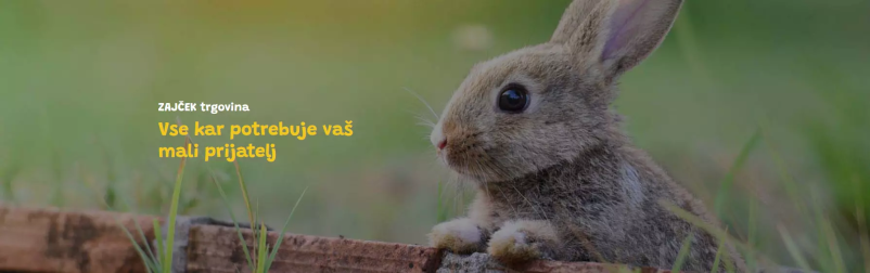 Trgovina za male živali Zajček v Krškem