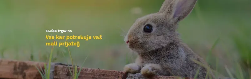 Trgovina za male živali Zajček v Krškem