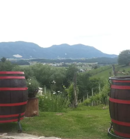 Turisticna kmetija in vinotoc savinjska