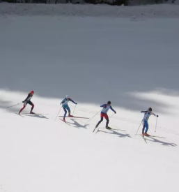 Turistična kmetija z nastanitvijo Koroška