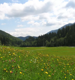 Dobra turistična kmetija Koroška