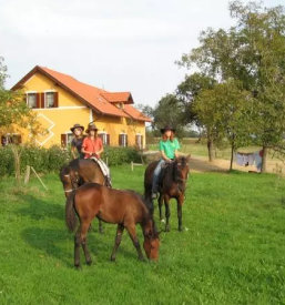 Obisk turistične kmetije Pomurje