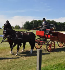 Turistična kmetija Pomurje rezervacija