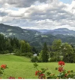 Turisticna kmetija savinjska