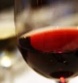 Kmetija z vinotočem Štajerska