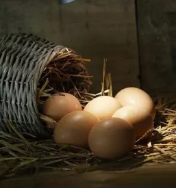 Turisticna kmetija z nastanitvijo logarska dolina gora olsevo