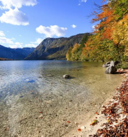 Turisticno drustvo bohinj