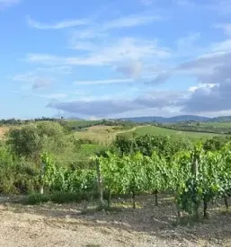 Turisticno drustvo klopotec zgornja velka sentilj