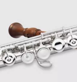 Ucenje igranja pihal in trobil sv anton