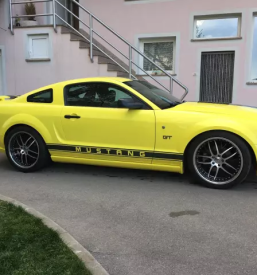 Avtoličar Dobrepolje