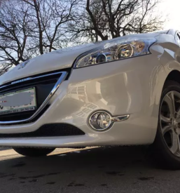 Kakovosten ugoden avtoličar Videm, Dobrepolje