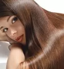 Ugoden frizer sevnica