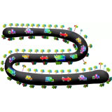 Najem vozil, Milan Radaković s.p.