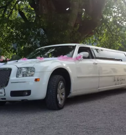 Ugoden najem limuzine