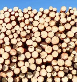 Ugoden razrez lesa ljubljana