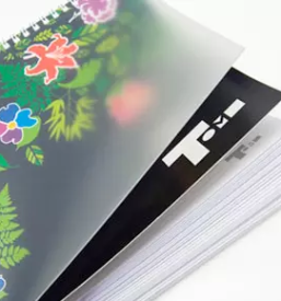 Ugoden tisk Celje, Slovenija