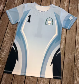 Ugoden tisk na majice slovenija