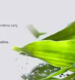 Ugoden zakup savne dolenjska