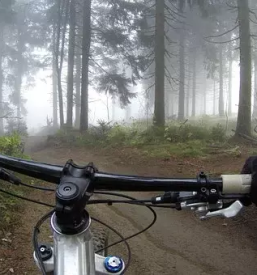 Ugodna apartmaja bohinj