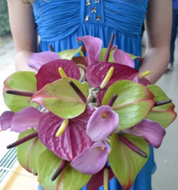 Vse za poroko Novo mesto