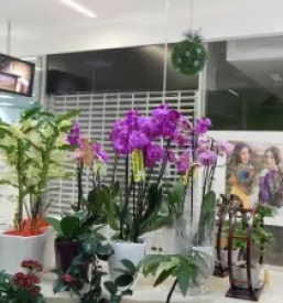 Dostava cvetja Novo mesto