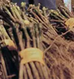 Ugodna kletarska oprema slovenija