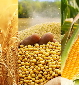 Ugodna krmila za zivali gorenjska