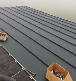 Ugodna menjava streh pomurje