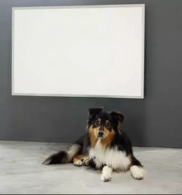 Ugodna montaza ir panelov slovenija