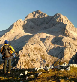 Ugodna oddaja apartmajev bohinj