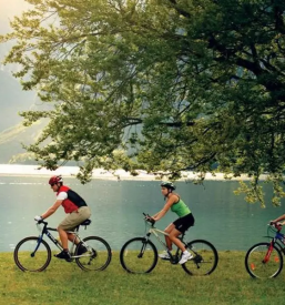 Ugodna oddaja apartmajev bohinj