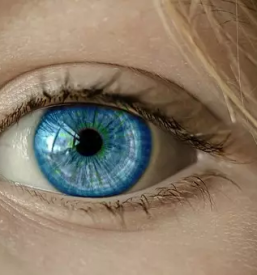 Ugodna optika maribor