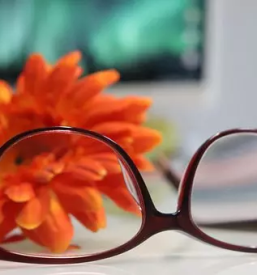 Ugodna optika Maribor