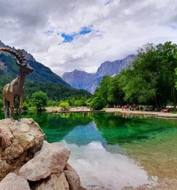 Ugodna prenocisca z barom mojstrana okolica