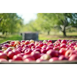 KRISTJAN KUMAR, S.P.