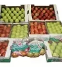 Ugodna prodaja jabolk v sloveniji