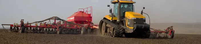 Ugodna prodaja koruze Slovenija