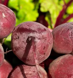 Prodaja sladkorne pese Ormož