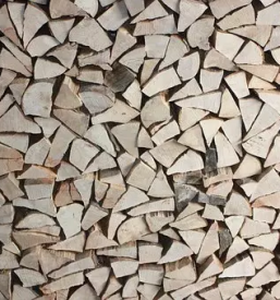 sečnja in spravilo lesa