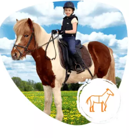 Ugodna sola jahanja ljubljana radomlje