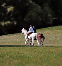 Ugodna sola jahanja savinjska
